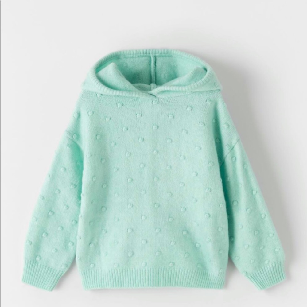 ZARA Knits Sweater With Embroidered Dots